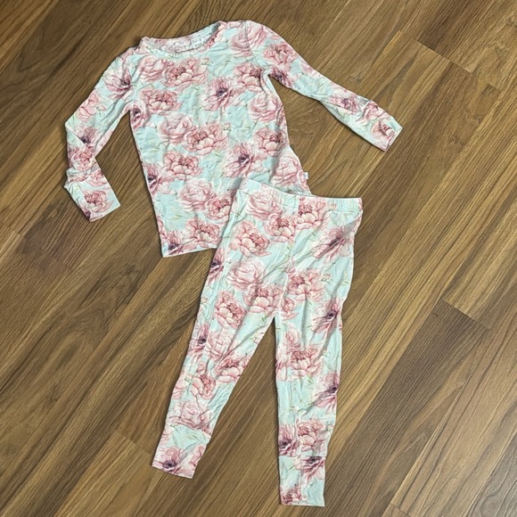 Posh Peanut Other - Posh Peanut Toddler Girls Sz 2T Light Floral Roses Bamboo 2pc Pajamas Pants Top
